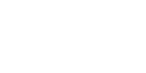 레드 타이거 logo